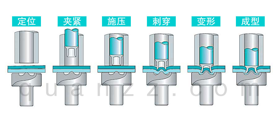 自穿刺鉚接原理圖.jpg